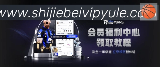 未来规划